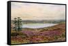 The Great Pond, Frensham-Alfred Robert Quinton-Framed Stretched Canvas