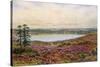 The Great Pond, Frensham-Alfred Robert Quinton-Stretched Canvas