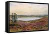 The Great Pond, Frensham-Alfred Robert Quinton-Framed Stretched Canvas