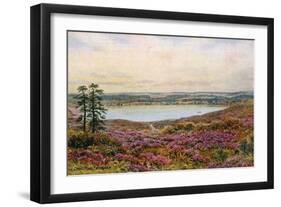 The Great Pond, Frensham-Alfred Robert Quinton-Framed Giclee Print