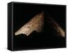 The Great Pyramid Egypt, c.1980-null-Framed Stretched Canvas