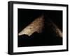 The Great Pyramid Egypt, c.1980-null-Framed Photographic Print