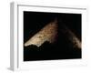 The Great Pyramid Egypt, c.1980-null-Framed Photographic Print