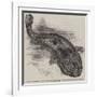 The Great Salamander of Japan (Sieboldia Maxima) Recently Placed in the Zoological Society's Garden-null-Framed Giclee Print