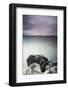 The Great Salt Lake During a Storm with Antelope Island in Sunlight-Lindsay Daniels-Framed Photographic Print