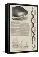 The Great Sea-Serpent-null-Framed Stretched Canvas