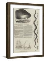 The Great Sea-Serpent-null-Framed Giclee Print