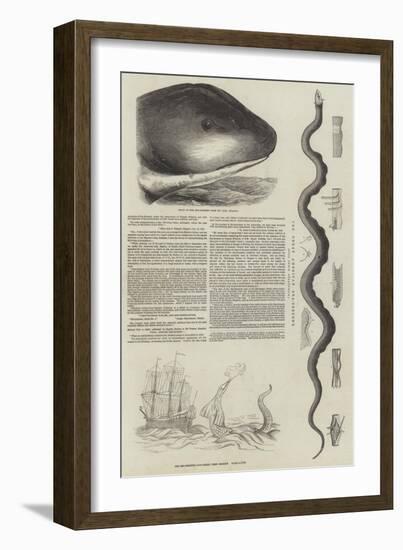 The Great Sea-Serpent-null-Framed Giclee Print