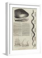 The Great Sea-Serpent-null-Framed Giclee Print