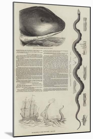 The Great Sea-Serpent-null-Mounted Giclee Print