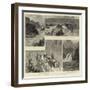 The Great Shoshone Falls, Idaho Territory, Usa-null-Framed Giclee Print