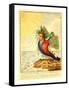 The Great South Sea Caterpillar-null-Framed Stretched Canvas