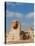 The Great Sphinx and Pyramids of Giza on a Sunny Day-Alex Saberi-Stretched Canvas