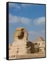 The Great Sphinx and Pyramids of Giza on a Sunny Day-Alex Saberi-Framed Stretched Canvas