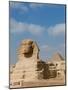 The Great Sphinx and Pyramids of Giza on a Sunny Day-Alex Saberi-Mounted Premium Photographic Print