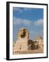 The Great Sphinx and Pyramids of Giza on a Sunny Day-Alex Saberi-Framed Premium Photographic Print