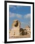 The Great Sphinx and Pyramids of Giza on a Sunny Day-Alex Saberi-Framed Photographic Print