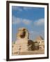 The Great Sphinx and Pyramids of Giza on a Sunny Day-Alex Saberi-Framed Photographic Print