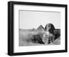 The Great Sphinx and the Pyramids of Giza, Egypt, 1852-Maxime Du Camp-Framed Giclee Print