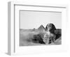 The Great Sphinx and the Pyramids of Giza, Egypt, 1852-Maxime Du Camp-Framed Premium Giclee Print