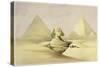 'The Great Sphinx and the Pyramids of Giza', Egypt, c1845-David Roberts-Stretched Canvas