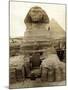 The Great Sphinx Guarding the Pyramids Egypt Statue, c.1910-null-Mounted Photographic Print