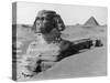 The Great Sphinx in the Desert-null-Stretched Canvas