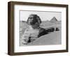 The Great Sphinx in the Desert-null-Framed Photographic Print