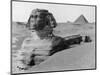 The Great Sphinx in the Desert-null-Mounted Photographic Print