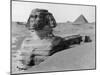 The Great Sphinx in the Desert-null-Mounted Photographic Print