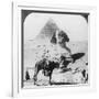 The Great Sphinx of Giza, Egypt, 1905-Underwood & Underwood-Framed Photographic Print