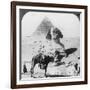 The Great Sphinx of Giza, Egypt, 1905-Underwood & Underwood-Framed Photographic Print