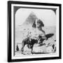 The Great Sphinx of Giza, Egypt, 1905-Underwood & Underwood-Framed Photographic Print