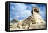 The Great Sphinx of Giza, Egypt, 20th Century-null-Framed Stretched Canvas