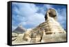 The Great Sphinx of Giza, Egypt, 20th Century-null-Framed Stretched Canvas