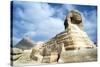 The Great Sphinx of Giza, Egypt, 20th Century-null-Stretched Canvas