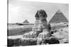 The Great Sphinx of Giza, Egypt, May 1949-null-Stretched Canvas