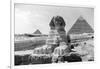 The Great Sphinx of Giza, Egypt, May 1949-null-Framed Giclee Print