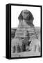 The Great Sphinx of Giza, Egypt, May 1949-null-Framed Stretched Canvas