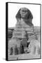 The Great Sphinx of Giza, Egypt, May 1949-null-Framed Stretched Canvas
