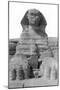 The Great Sphinx of Giza, Egypt, May 1949-null-Mounted Giclee Print
