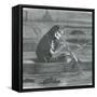 The Great Stink, 1858-Science Source-Framed Stretched Canvas