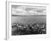 The Great Swannery-null-Framed Photographic Print