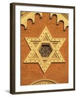 The Great Synagogue of Plzen, Czech Republic-Walter Bibikow-Framed Photographic Print