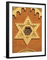 The Great Synagogue of Plzen, Czech Republic-Walter Bibikow-Framed Photographic Print