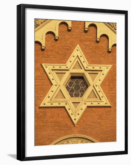 The Great Synagogue of Plzen, Czech Republic-Walter Bibikow-Framed Photographic Print