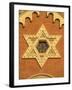 The Great Synagogue of Plzen, Czech Republic-Walter Bibikow-Framed Photographic Print