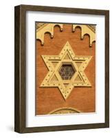 The Great Synagogue of Plzen, Czech Republic-Walter Bibikow-Framed Photographic Print