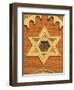 The Great Synagogue of Plzen, Czech Republic-Walter Bibikow-Framed Photographic Print