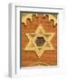 The Great Synagogue of Plzen, Czech Republic-Walter Bibikow-Framed Photographic Print